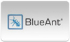 BlueAnt Bluetooth